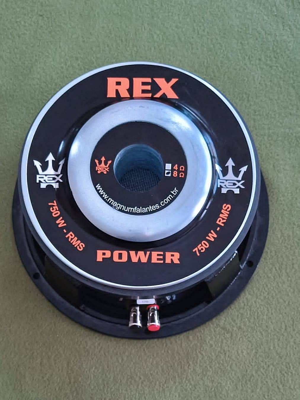 alto falante magnum rex power rp 750 rms 10 polegadas 3
