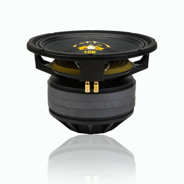 Top 10 Alto Falantes Mais Fortes Potentes | Subwoofers e Pancadão
